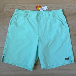 L.L. Bean Women's Mint Green Active Shorts
